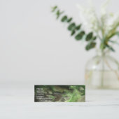 森林小川2 スキニー名刺 (スタンド正面)