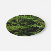 森林床シダ ペーパープレート (アングル)