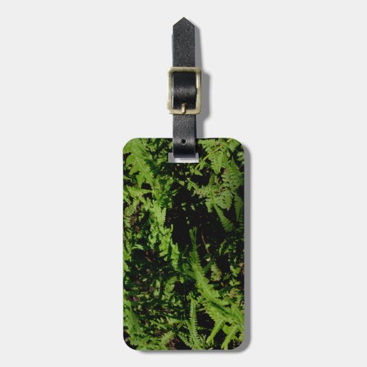 森林床シダ ラゲッジタグ (正面縦)