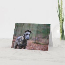 森林挨拶状のラーチャー カード