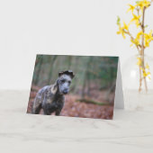 森林挨拶状のラーチャー カード (黄色い花)