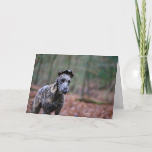 森林挨拶状のラーチャー カード (正面)