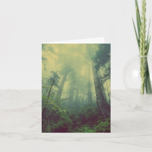 森林撮影誕生日カード カード (正面)