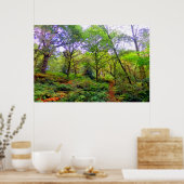 森林散歩 ポスター (キッチン)