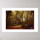 森林散歩 ポスター (正面)