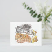 森林散歩 | Squirrelポストカード ポストカード (スタンド正面)