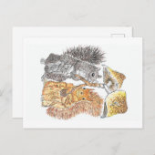 森林散歩 | Squirrelポストカード ポストカード (正面/裏面)