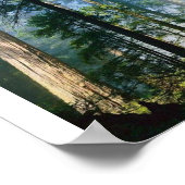 森林日光 ポスター (角)