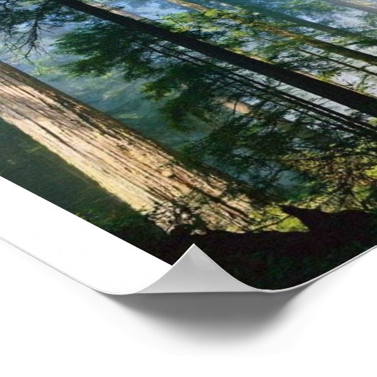 森林日光 ポスター (角)