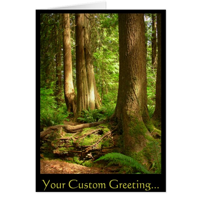 森林景色の空白のなカード美しいプリントカード (正面)