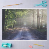 森林景観歩道24デコページティッシュペーパー 薄葉紙 (クラフト)