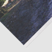 森林景観歩道24デコページティッシュペーパー 薄葉紙 (詳細)