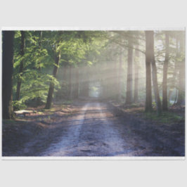 森林景観歩道24デコページティッシュペーパー 薄葉紙