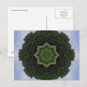 森林曼荼羅 ポストカード (正面/裏面)