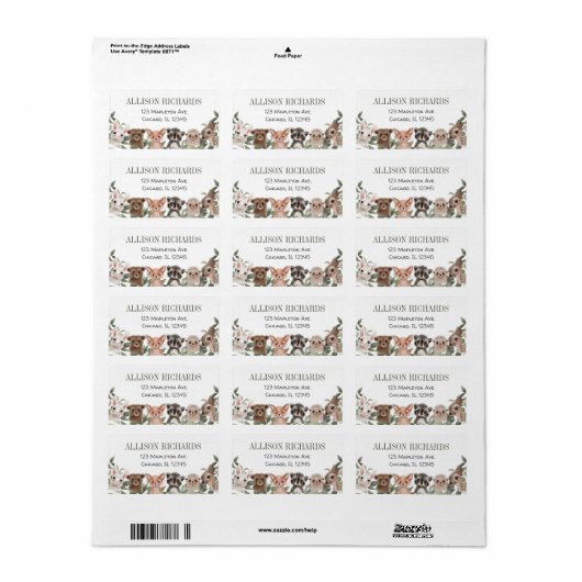 森林林の友人の緑 ラベル (フルシート)