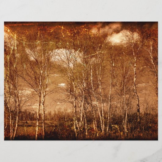 森林樹のヴィンテージグランジ素朴テクスチャ雲 (正面)