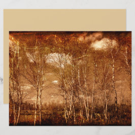 森林樹のヴィンテージグランジ素朴テクスチャ雲