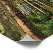 森林樹 ポスター (角)