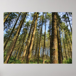 森林樹 ポスター