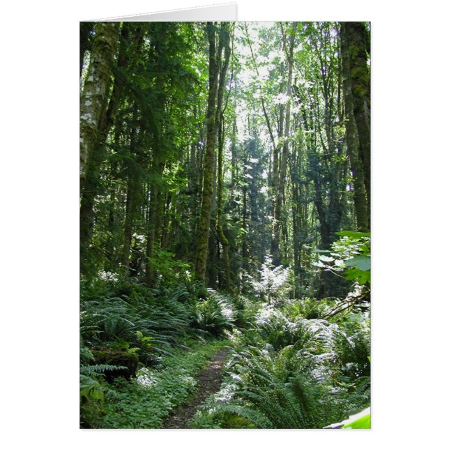 森林歩行 (正面)