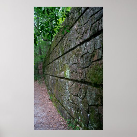 森林歩道の石垣ポスター ポスター (正面)