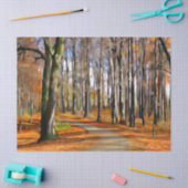 森林水の色の分離 薄葉紙 (クラフト)