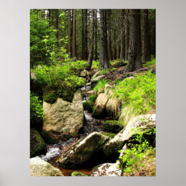 森林流 ポスター