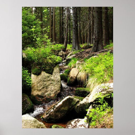 森林流 ポスター (正面)