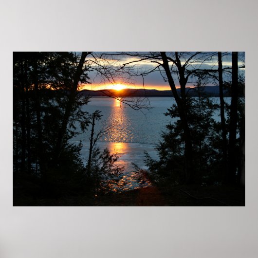 森林湖の夕日のポスター ポスター (正面)