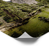 森林湖ポスター ポスター (角)