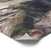 森林滝ポスター ポスター (角)