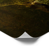 森林滝ポスター ポスター (角)