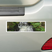 森林滝 バンパーステッカー (車上)