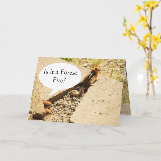 森林火災？ カード (黄色い花)