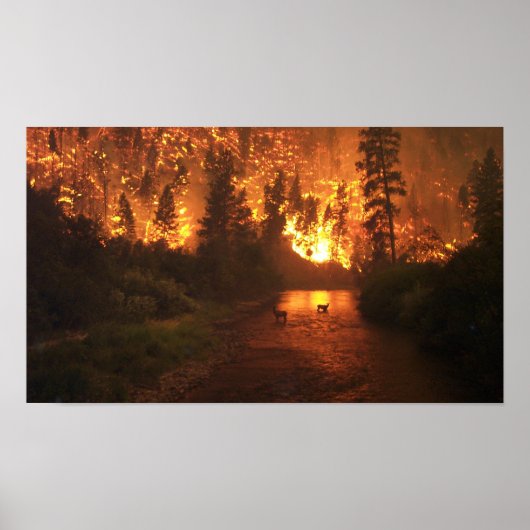 森林火災 – Deer ポスター (正面)