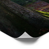 森林照明ポスター ポスター (角)