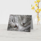 森林猫のバースデー・カード カード (黄色い花)