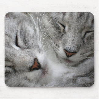森林猫のマウスのマット マウスパッド