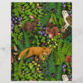 森林生活 (裏面)