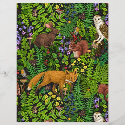 森林生活 (裏面)