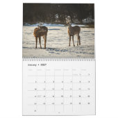 森林生物自然 カレンダー (1月 2027)