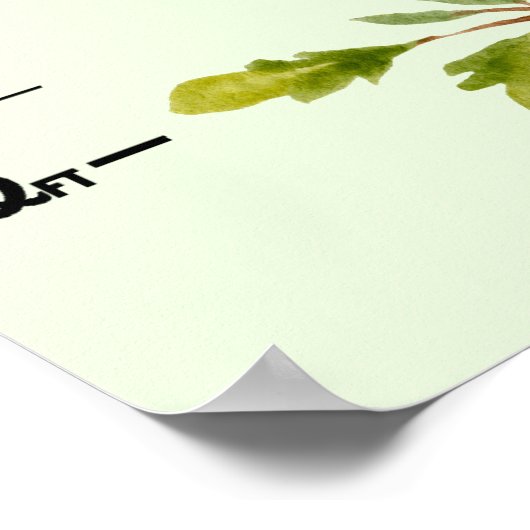 森林生育図 ポスター (角)