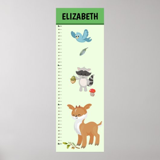 森林生育図 ポスター (正面)