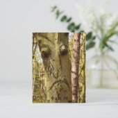 森林用はがき ポストカード (スタンド正面)