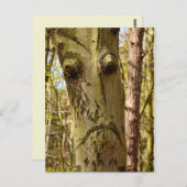 森林用はがき ポストカード (正面/裏面)