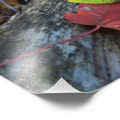 森林秋の芸術 フォトプリント            (角)