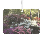 森林空気清浄機 カーエアーフレッシュナー (裏面)