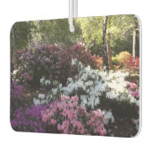 森林空気清浄機 カーエアーフレッシュナー (左)