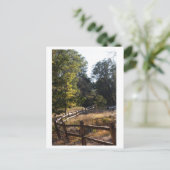 森林経路 ポストカード (スタンド正面)