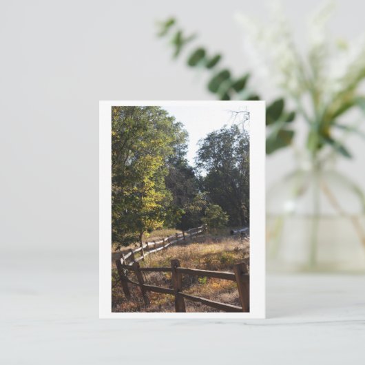 森林経路 ポストカード (スタンド正面)